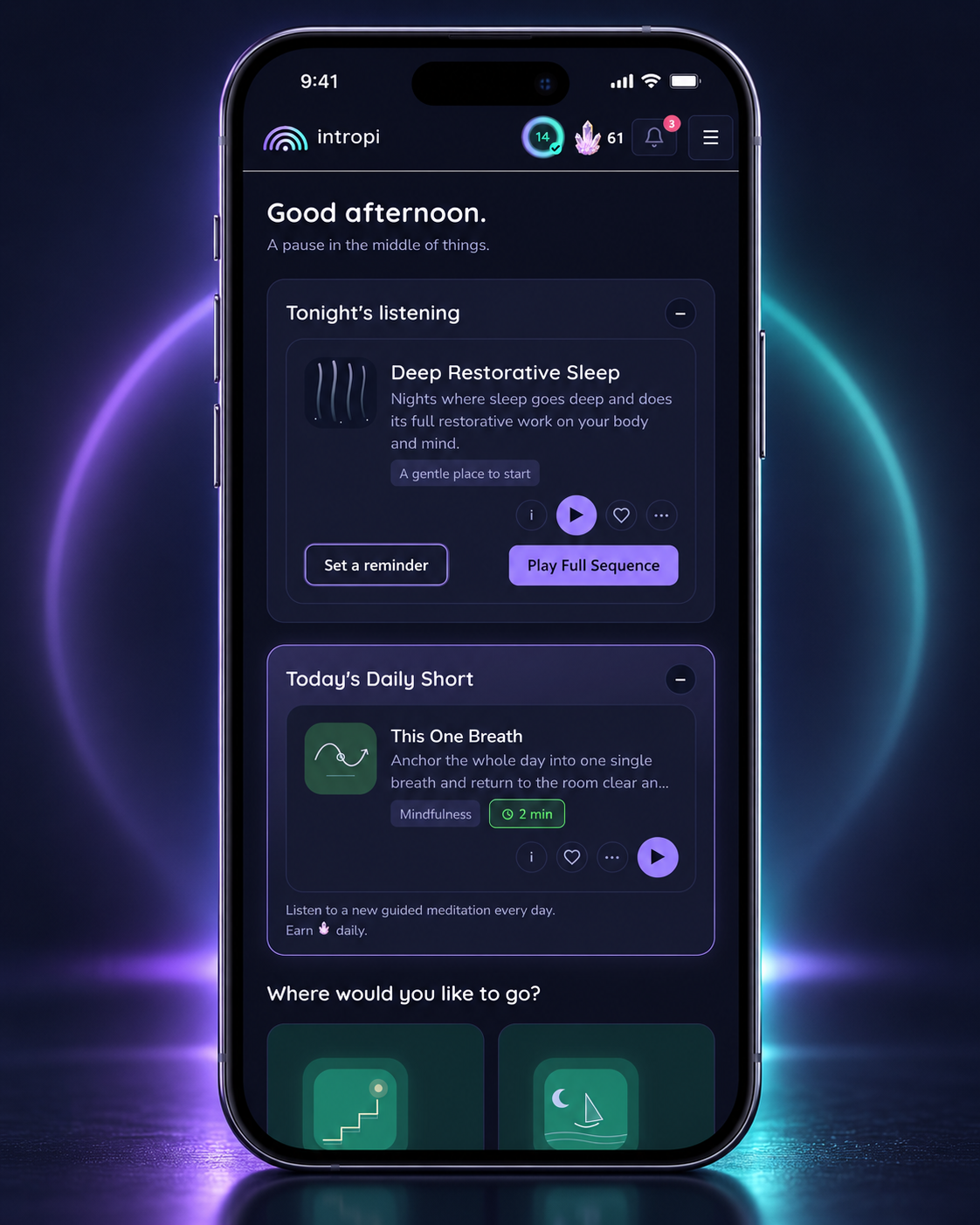Intropi screenshot