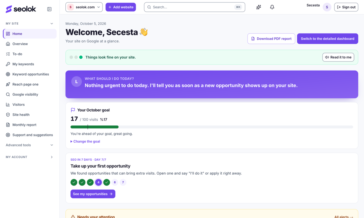 SEOLOK screenshot