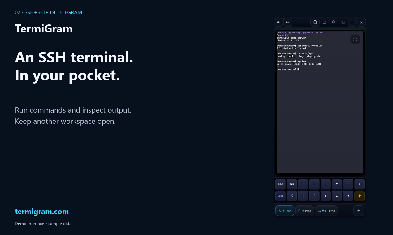 TermiGram screenshot